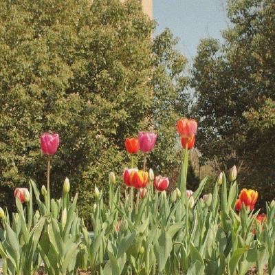 快3大小单双平台