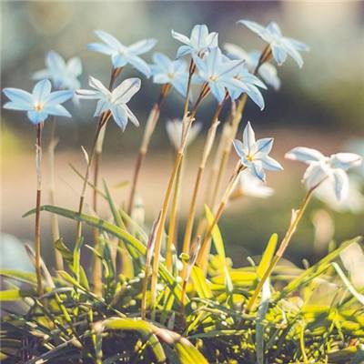 云开全站appapp下载