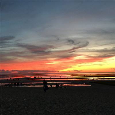 雷火亚洲电竞平台官网