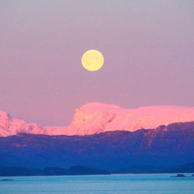 星空线上官网下载手机版