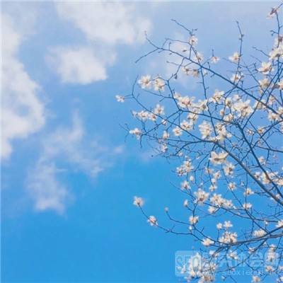 三亿体育手机app下载