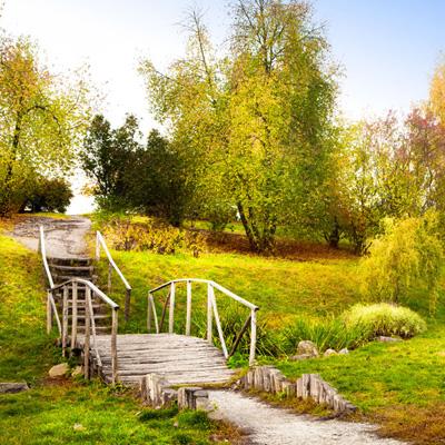 竞猜足球appapp下载